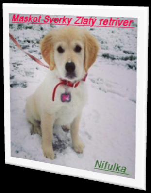 Členská karta č.1-A