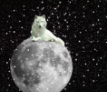 /album/fotogaleria/walf-on-moon-gif/